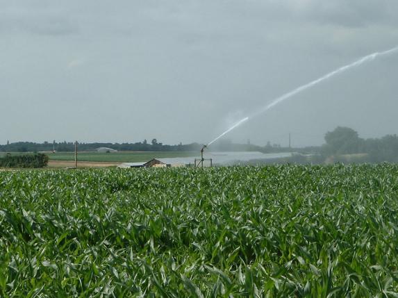 Demande d'eau pour l'irrigation 2023