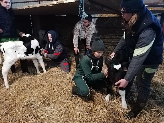 Vendée - Pour devenir un éleveur laitier autonome
