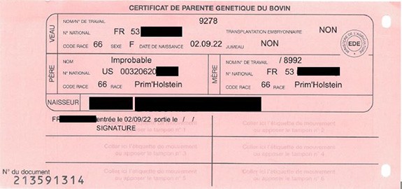 Pays de la Loire - La Certification de la parenté des bovins (CPB) : les évolutions prochaines à prendre en compte